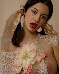 Felicity Fey