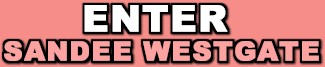 Enter Sandee Westgate
