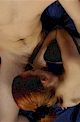 sweet blowjob