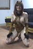 horny shemale